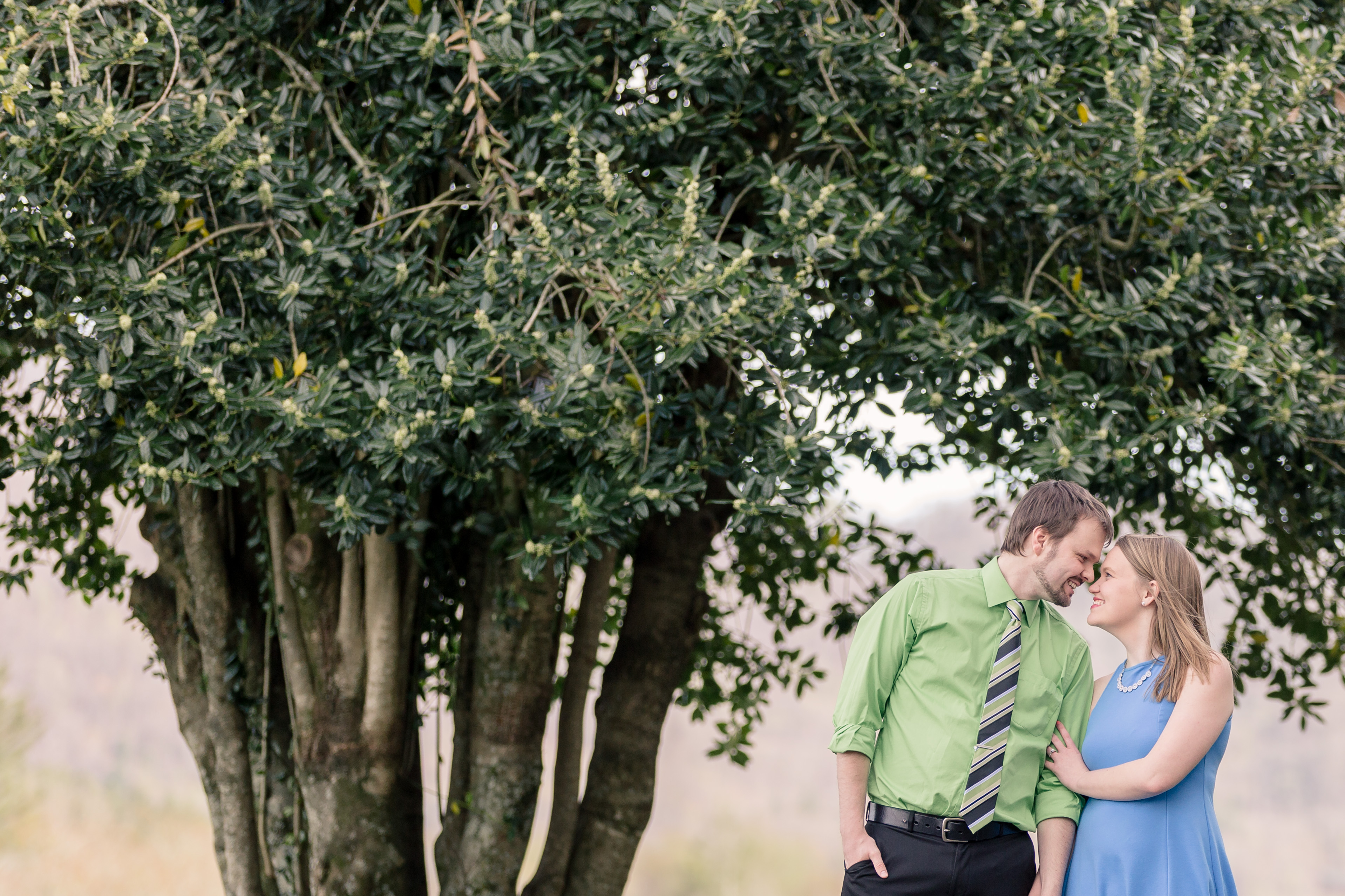 yonah mountain vineyards wedding photos