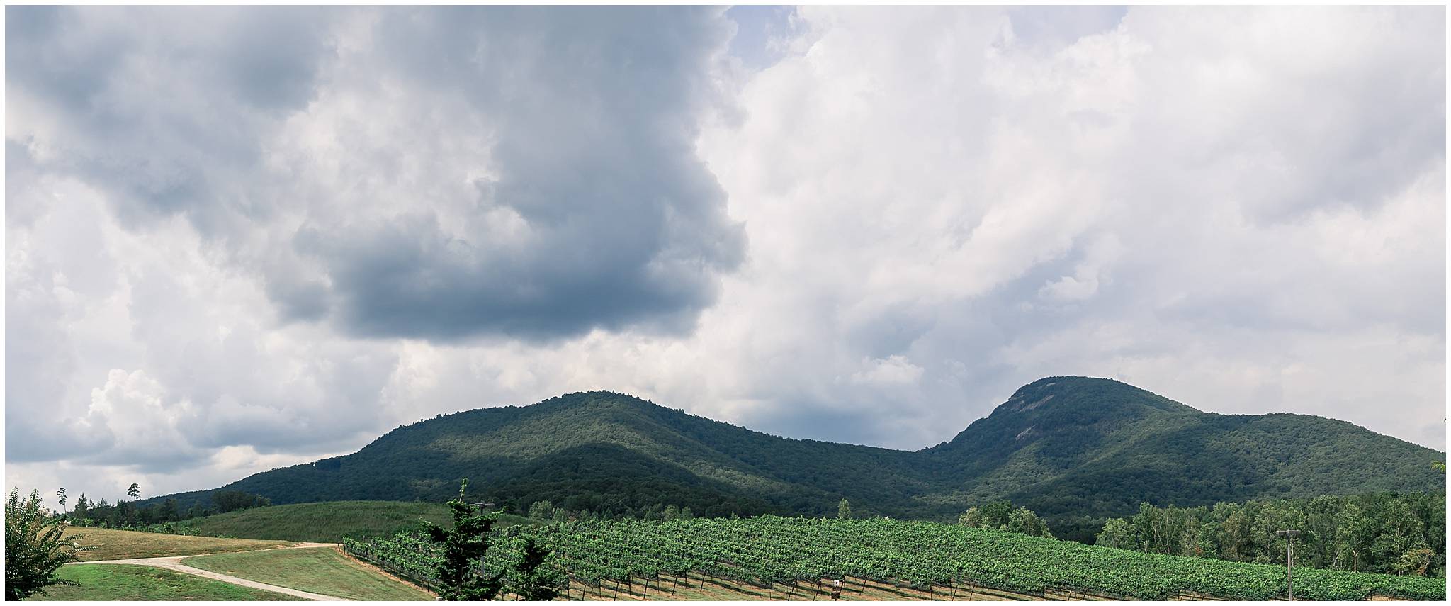 yonah mountain vineyards