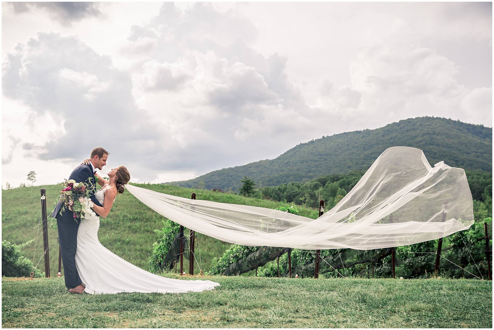 best wedding photographers cleveland georgia yonah mountain vineyards