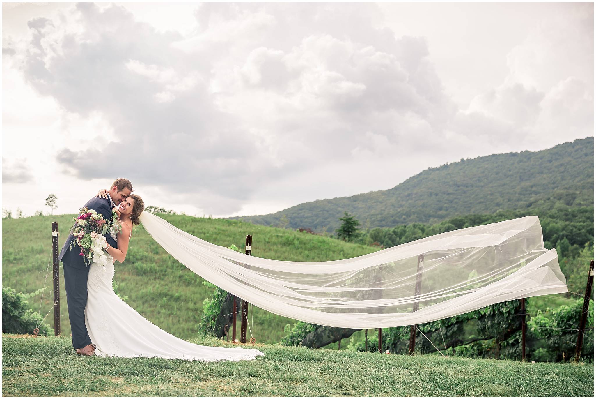 Yonah Mountain Vineyards Wedding Pictures best photographers in Cleveland