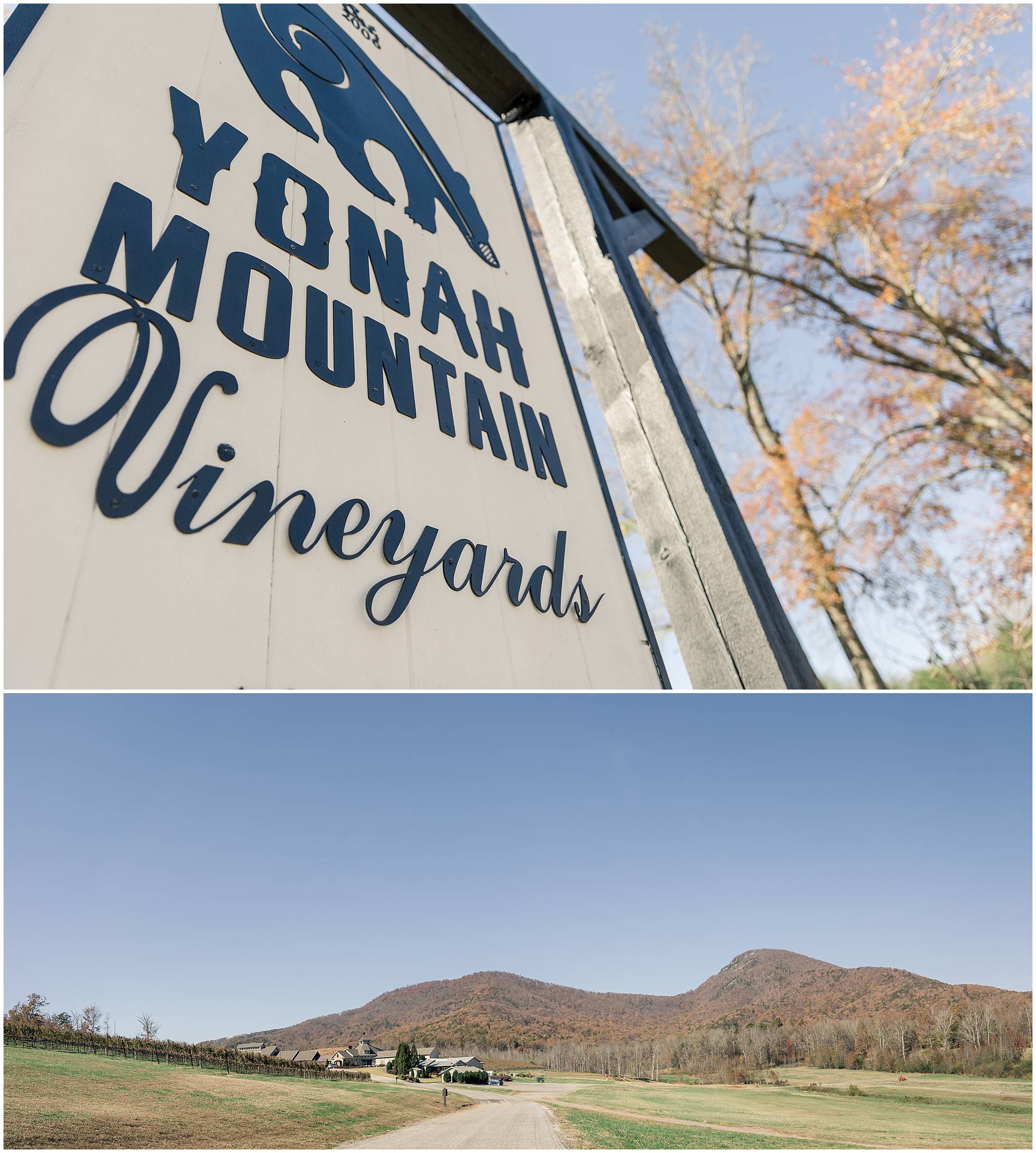 Yonah Mountain Vineyards Cleveland GA