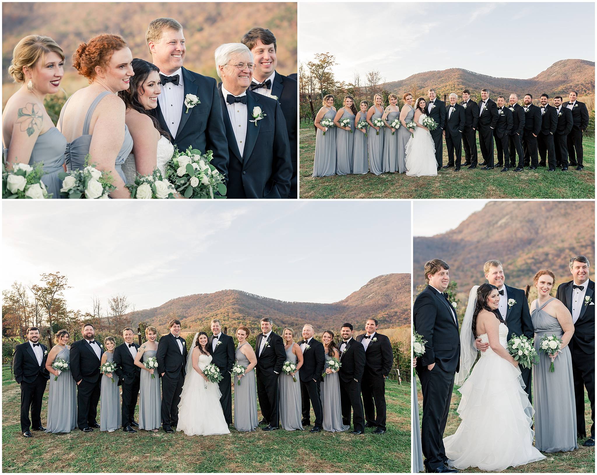 Yonah Mountain Vineyards Wedding Party Pictures 