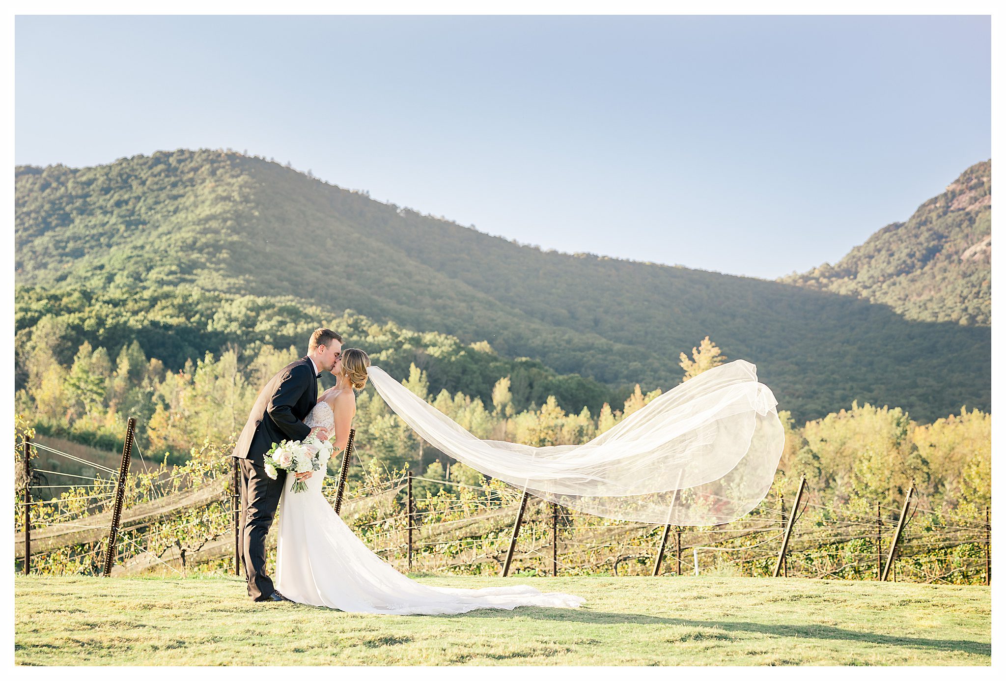 The best pictures from Yonah Mountain Vineyards Wedding Photographer photography