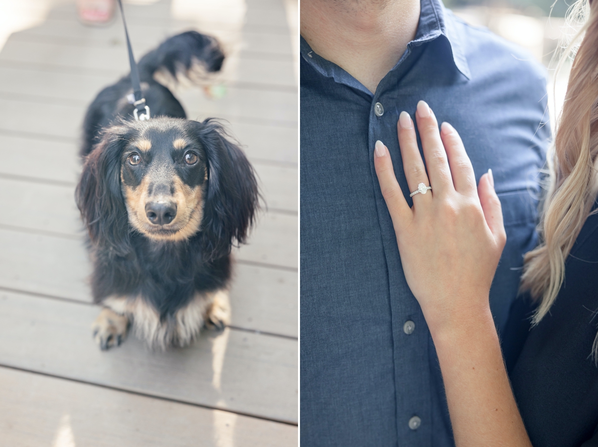 Collage of a detail photo of a dog and Julia's engagement ring on Taylor's chest.