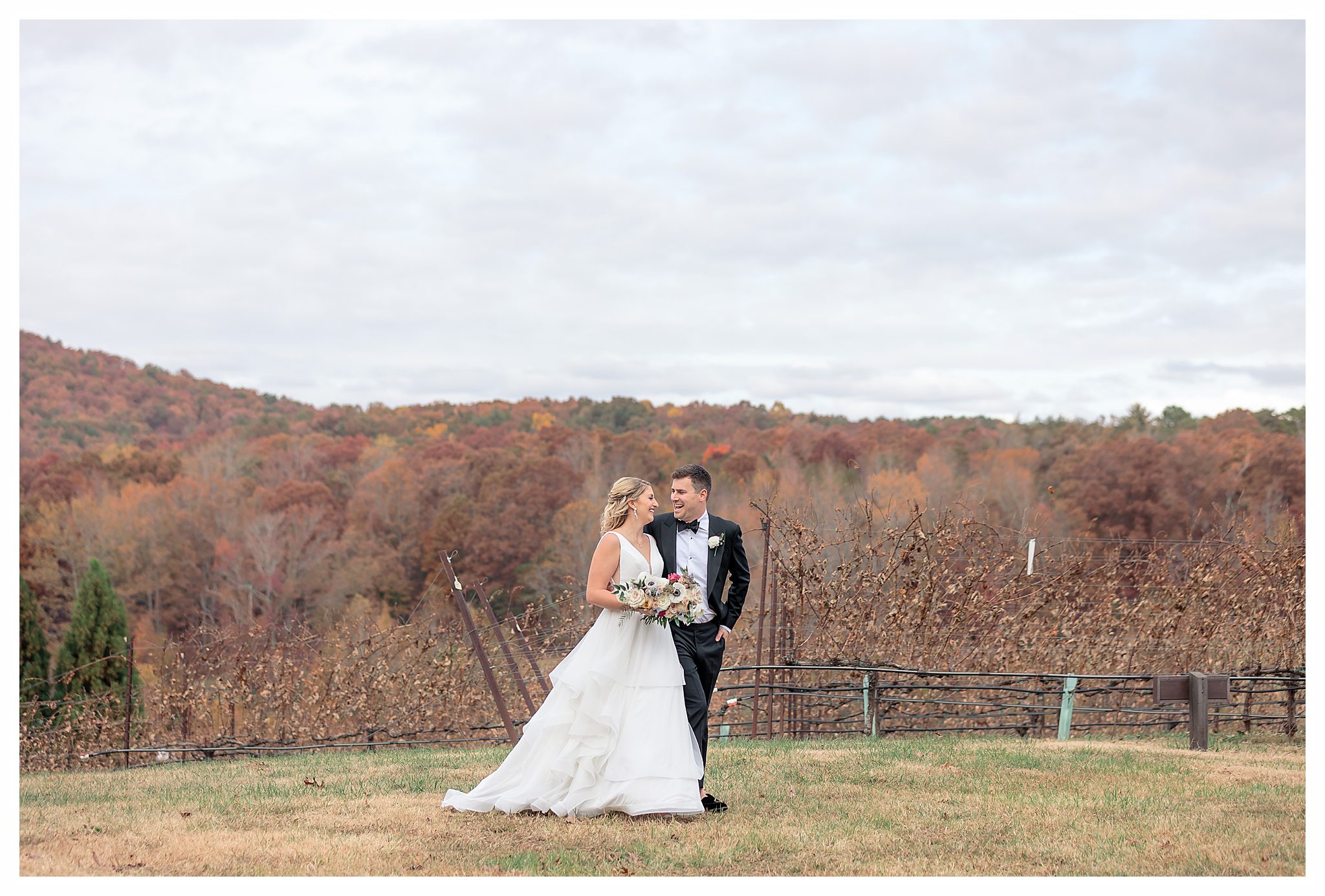 luxury fall wedding at yonah mountain vineyards in cleveland ga