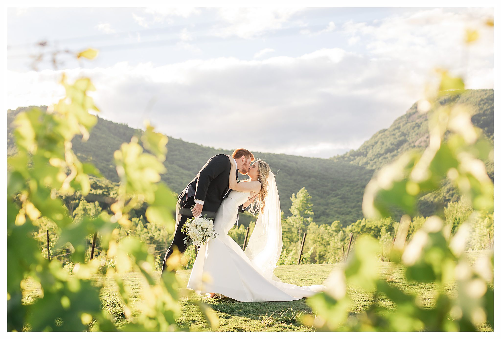 best yonah mountain vineyard wedding pictures